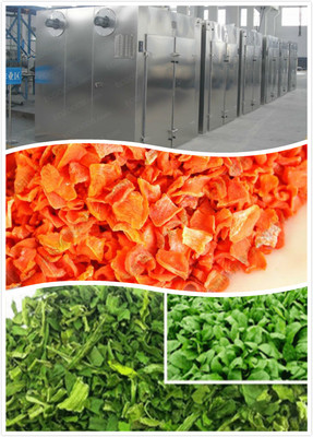 蔬菜熱泵烘干機,蔬菜空氣能干燥設備,果蔬烘干房