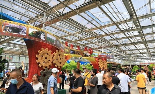第十九屆中國(guó)長(zhǎng)春國(guó)際農(nóng)業(yè)·食品博覽會(huì)（交易）會(huì)開幕 共促全球農(nóng)業(yè)繁榮